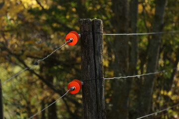 Close up of a electrical wire fence around a pasture