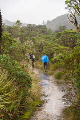 Hike to Paramo de Guacheneque, birthplace of the Bogota River. End of the hike in the rain at...