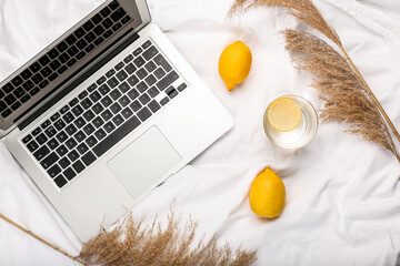 Laptop, glass of water with lemon slice and dry reeds on white cloth