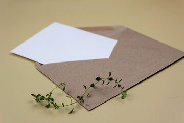 A clean white sheet in a brown envelope with a sprig of thyme. Mockup of invitation and greeting card.