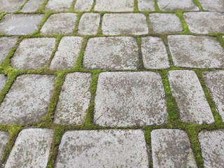 pavement