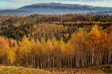 Picturesque rural scene from a mountain village in fall. Beautiful autumn foliage 