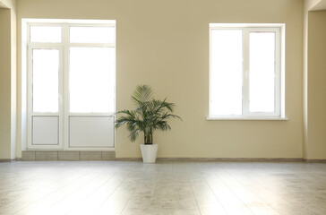 View of big empty office with houseplant