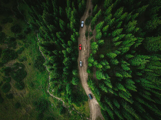 Cars driving along a mountain road through the forest, aerial view