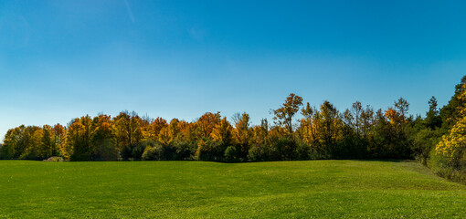 Panorama of an autumn forest with a large green meadow