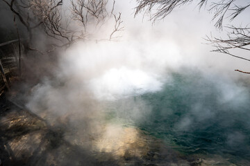 Tokaanu thermal park geothermal area in New Zealand