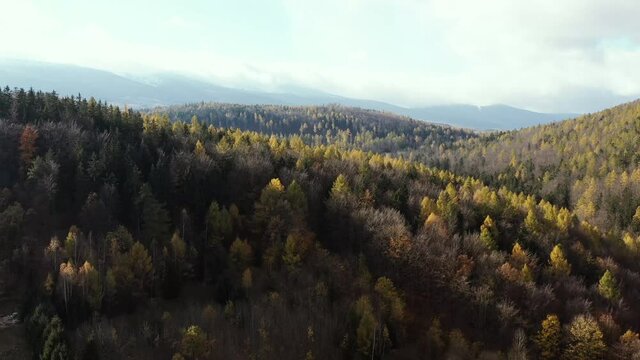 Autumn in the Mountains between the clouds