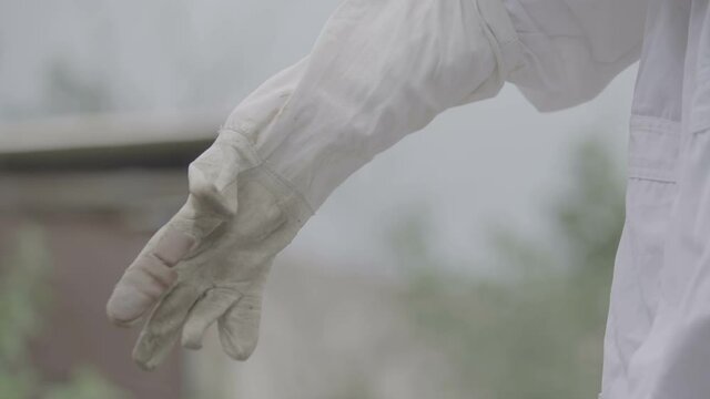 Beekeeper puts on gloves. Young beekeeper puts on protective gloves for protection before working at bee house apiary with bees flying. close up. Slow motion 100 fps