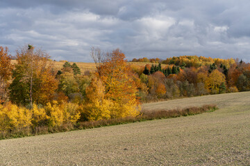 autumn landscape with woods and harrowed crop field
