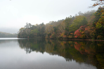 紅葉と霧にまみれた湖