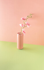Soft drink can and orchid branch against pastel pink and green background. Creative summer exotic...