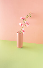 Soft drink can and orchid branch against pastel pink and green background. Creative summer exotic layout.