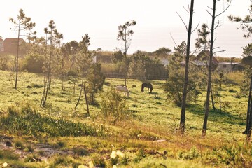 Processed with VSCO with e2 preset