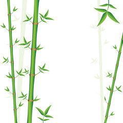 Background template with green bamboo - vector illustration