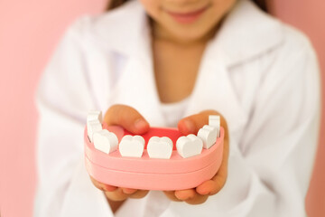 A close-up model of a human jaw in the hands of a doctor.Healthy, strong teeth and gum. Dental concept. Implantation and prosthetics of teeth.  