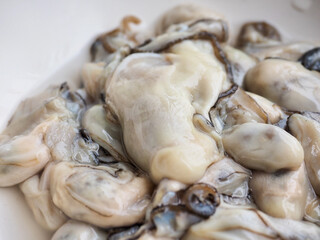신선한 해산물 굴