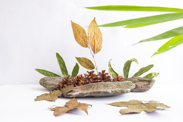 River stones, green leaves with pine flowers on white background, Perfect for Product Presentation...
