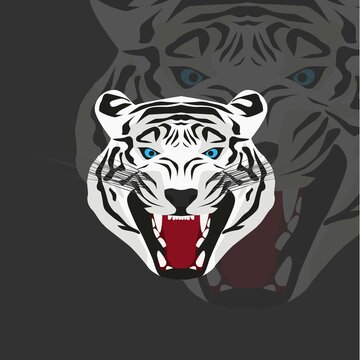 white tiger, against the background of its color, vector tiger muzzle. wild cat. tiger face logo.