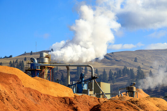 Lumber Industry Wood Pellet Biofuel Mill