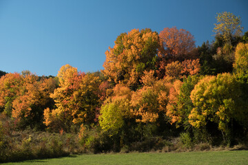 Oto&ntilde;o en el valle navarro de Arce.