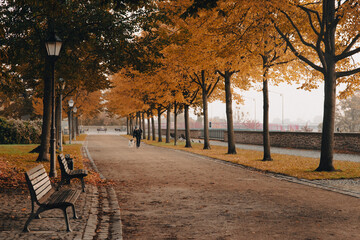 kobieta spaceruje z psem jesienią