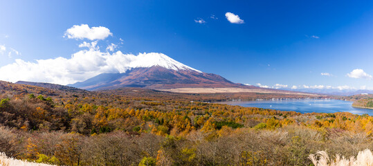 (山梨県ｰ風景パノラマ)富士山と秋の山中湖風景１