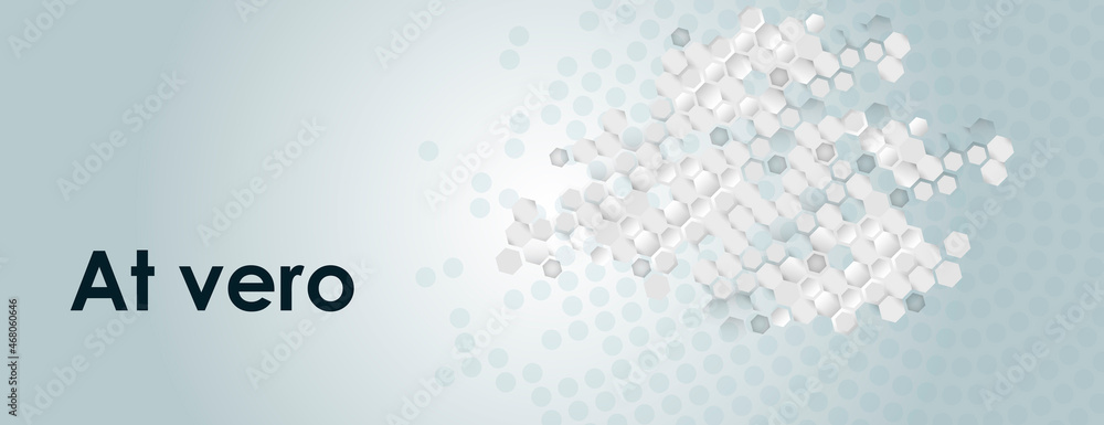 Leinwandbilder Vector banner design. White background with hexagon pattern. Hexagons geometric element concept network