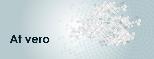 Vector banner design. White background with hexagon pattern. Hexagons geometric element concept network