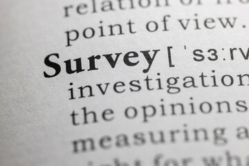 Dictionary definition of Survey