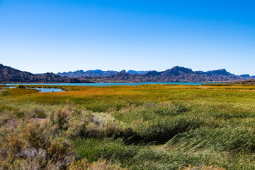 Obraz premium The Colorado River near Parker, Arizona