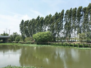 Fototapeta na wymiar Khlong Preng canal in country Chachoengsao Thailand