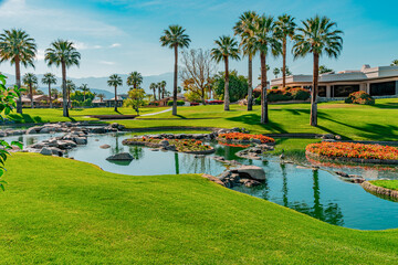 Palm Springs is lined with Palm trees, ponds, and green belts in Southern California. - Powered by Adobe