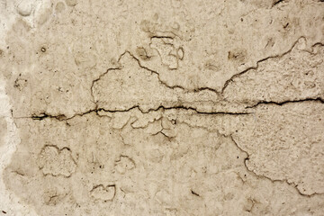 Old concrete walls have cracks in the background.