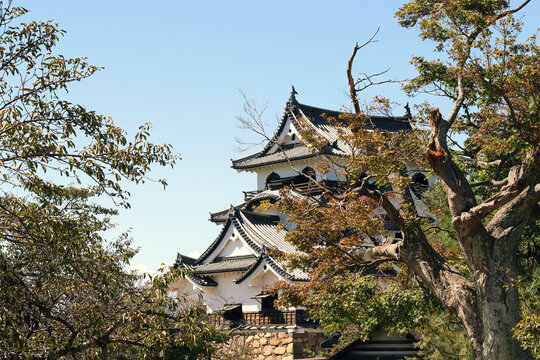 Hikone jyo, Japanese castle "siro"