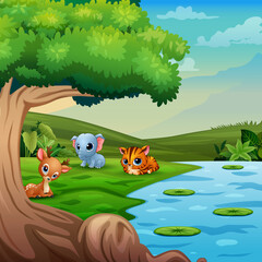 Obraz na płótnie Canvas Cute baby wild animals playing by the river