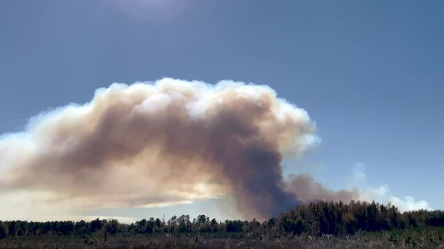 Forest fire smoke clouds from a distance in rural Georgia
