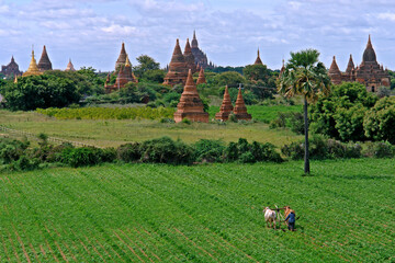 Templos budistas na cidade antiga de Bagan. Mianmar.