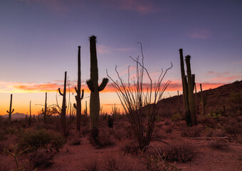 Desert sunset with vibrant Arizona sky and saguaros.