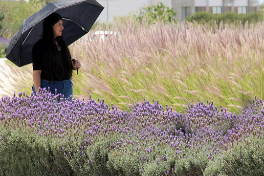 Latin adult woman with black hair happy and calm in freedom amina enters flowers under the sun in harmony with full life
