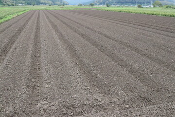 Japanese Plowed field ready to be planted.きれいに整地された畑の写真。