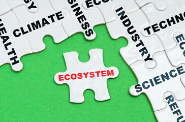 On a green background, white puzzles with text, a puzzle with the inscription - Ecosystem