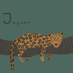Cute fluffy jaguar on the tree. Letter J from the alphabet. Cute baby animal illustration.