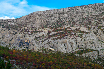 Mountains and forest in autumn colors