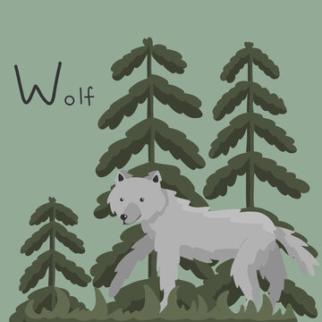A cute fluffy wolf walks in the forest in the evening. Letter W from the alphabet. Cute baby animal illustration.