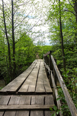 Fototapeta premium Wooden bridge, in summer in a mountain chalet, crossing a small river in retro style.