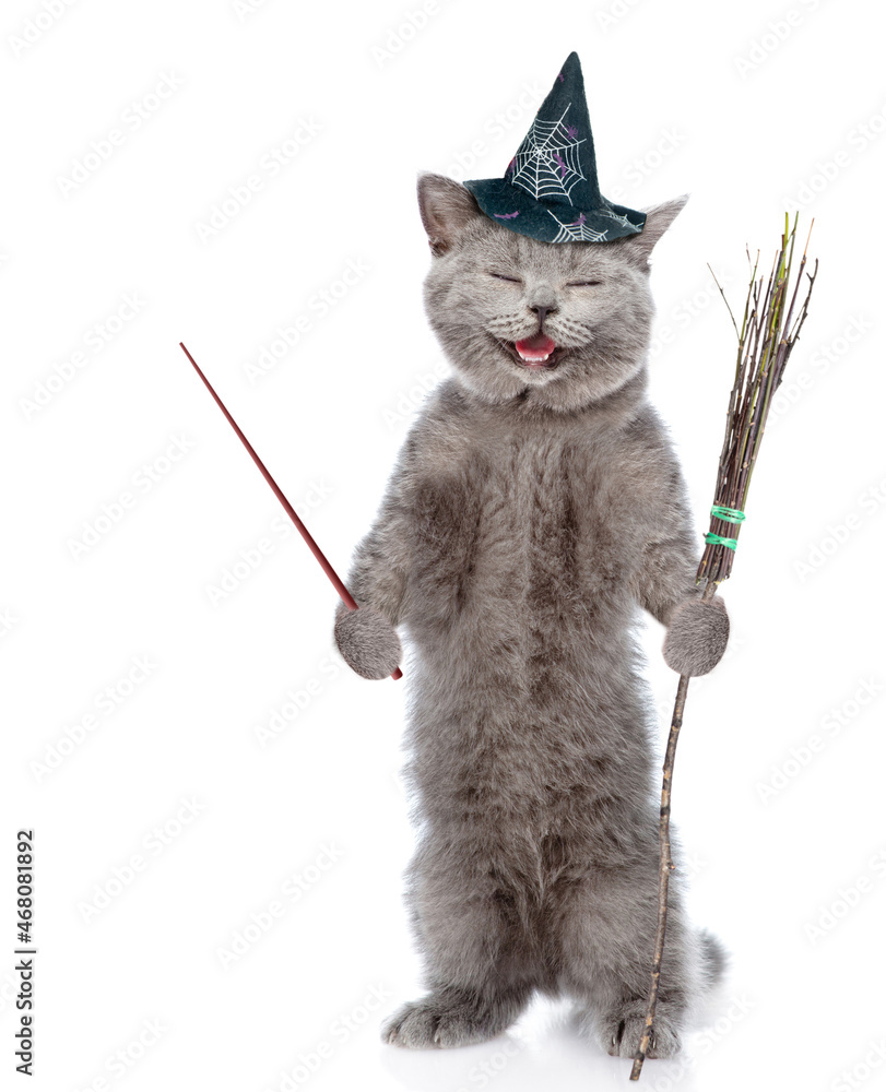 Poster happy cat wearing hat for halloween holds witches broom stick and points away on empty space. isolat