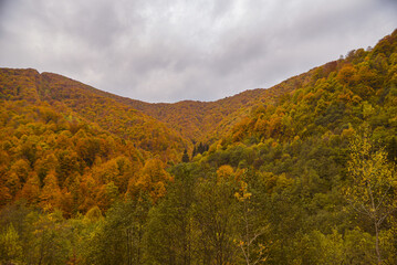 autumn landscape in the mountains