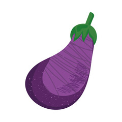 fresh eggplant vegetable