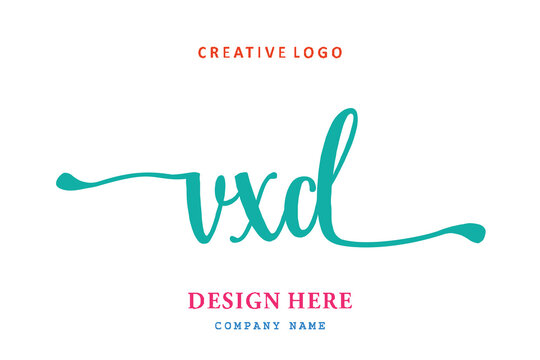 VXD lettering logo is simple, easy to understand and authoritative