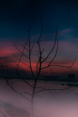 Sunset in river side